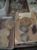  (360Wx480H) -  